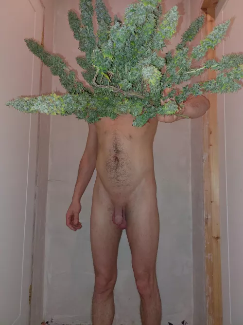 We both got a trim[m] by DuckyVs