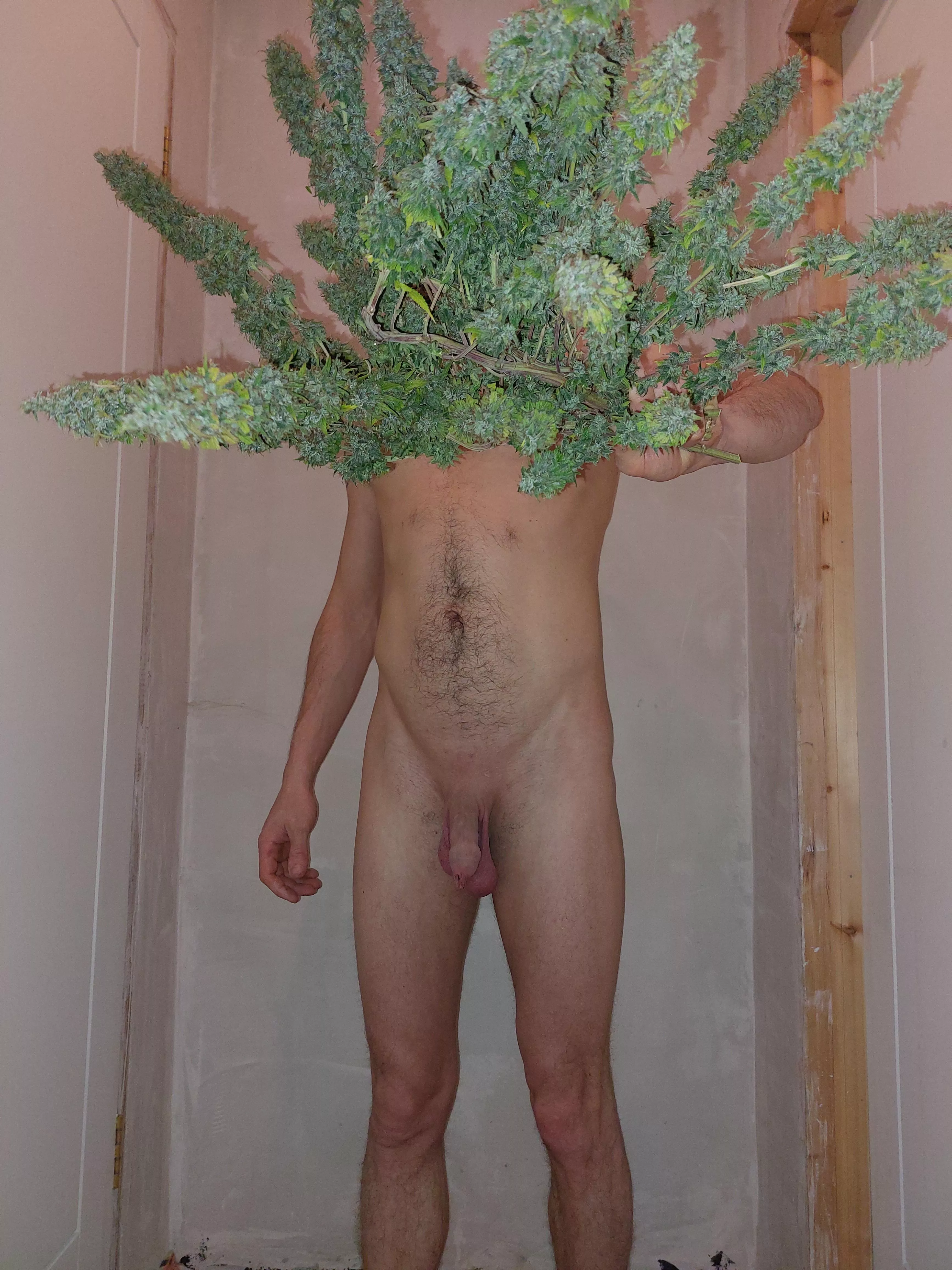 We both got a trim[m] posted by DuckyVs