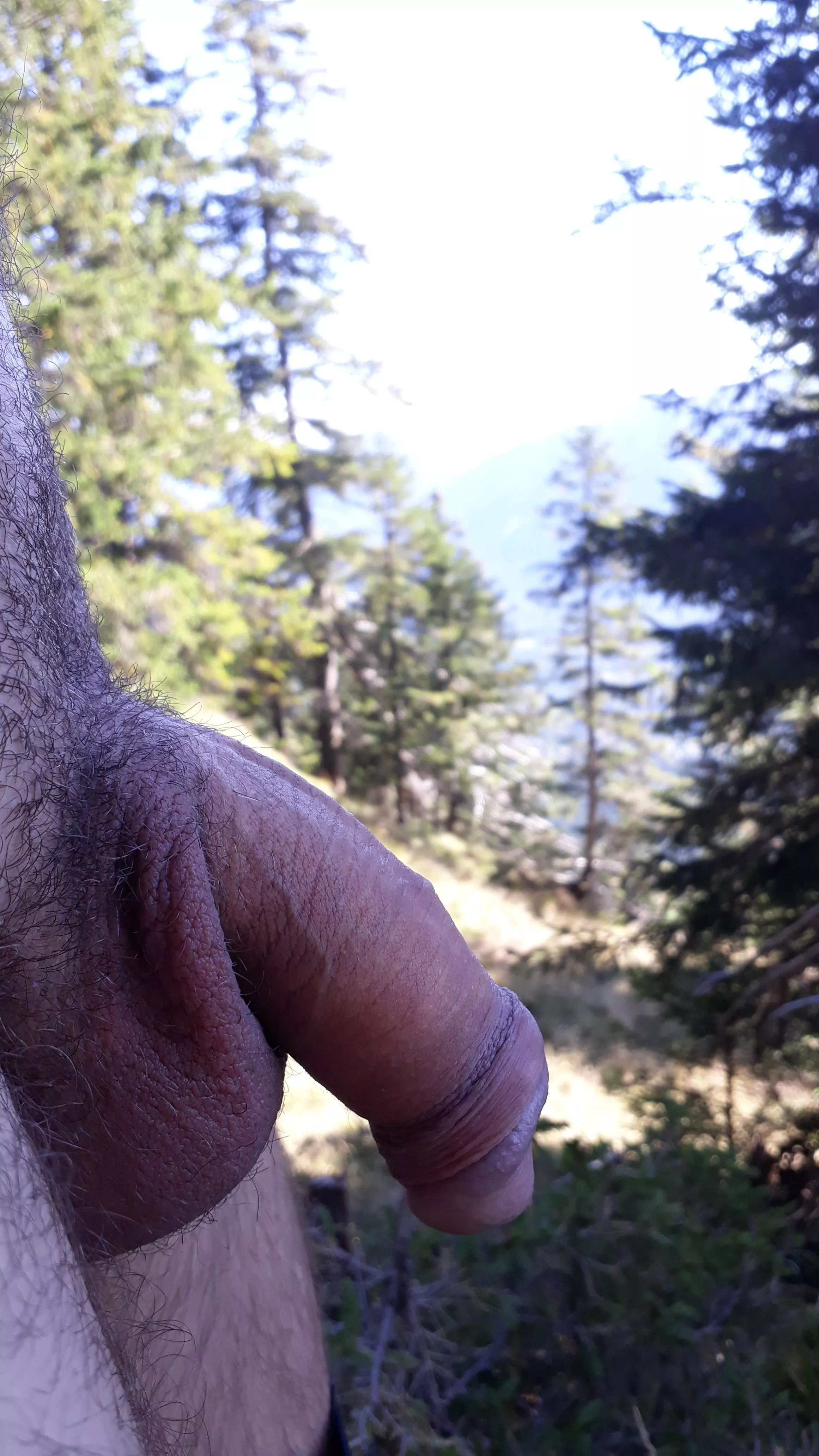 What about a hike in the forest? posted by Hardy969