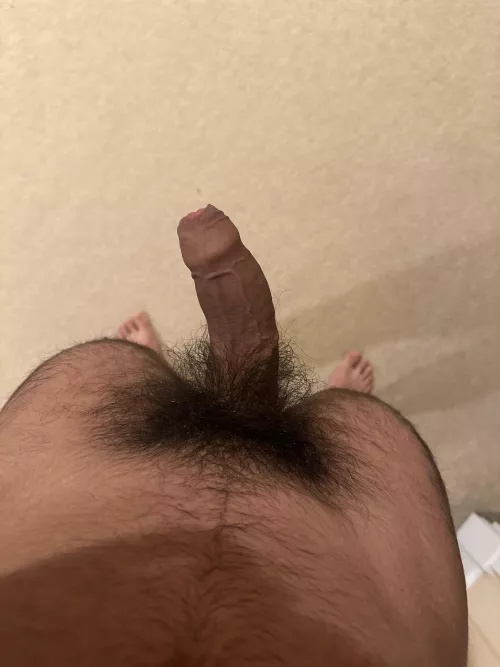 What should I do with my teen pubes(DMs open) by tarbyyyyy