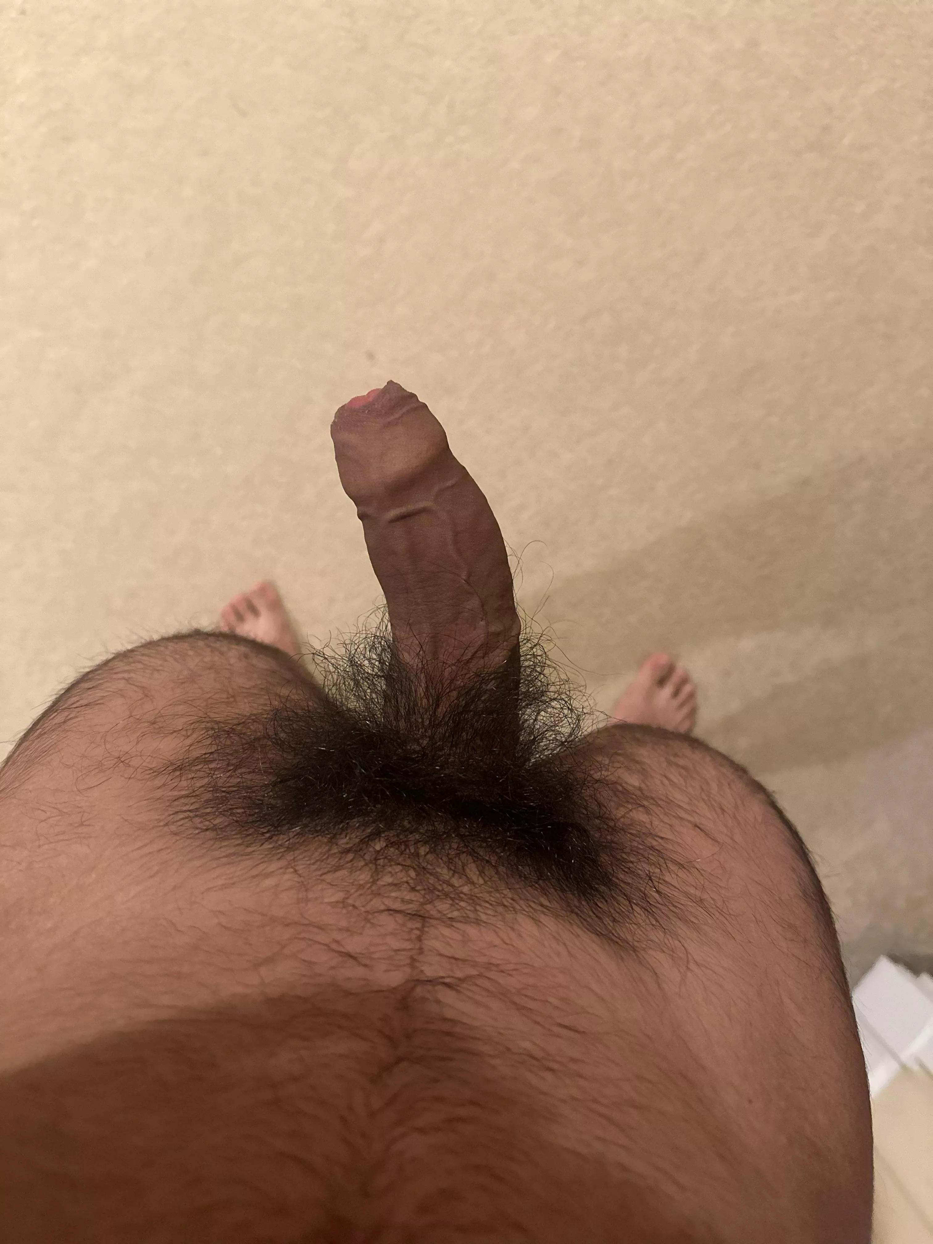 What should I do with my teen pubes(DMs open) posted by tarbyyyyy