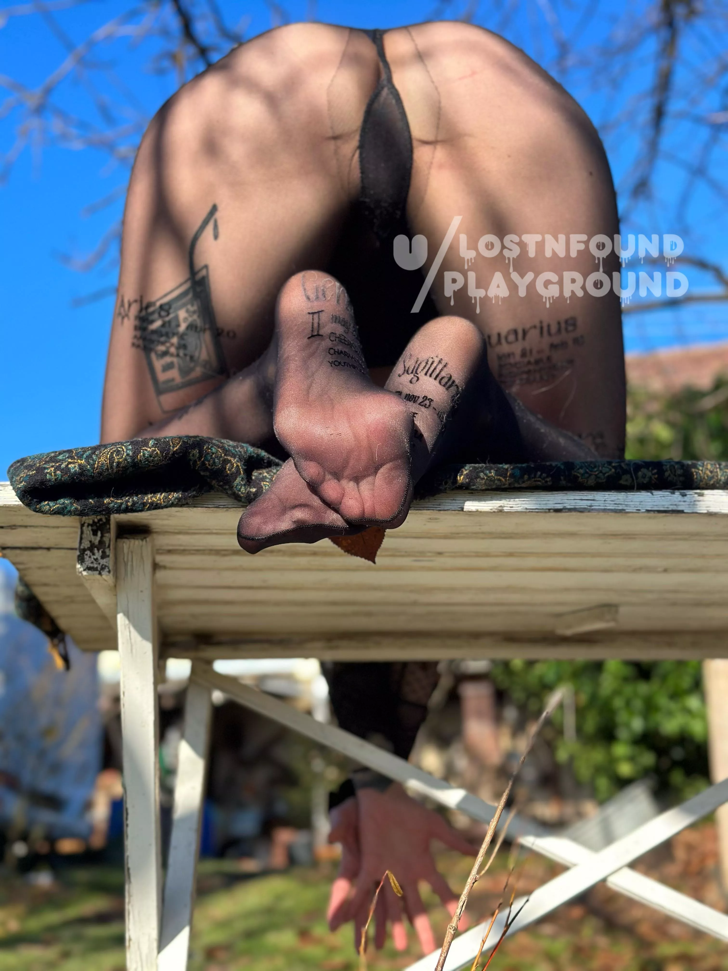 What’s your zodiac sign? posted by lostnfoundplayground