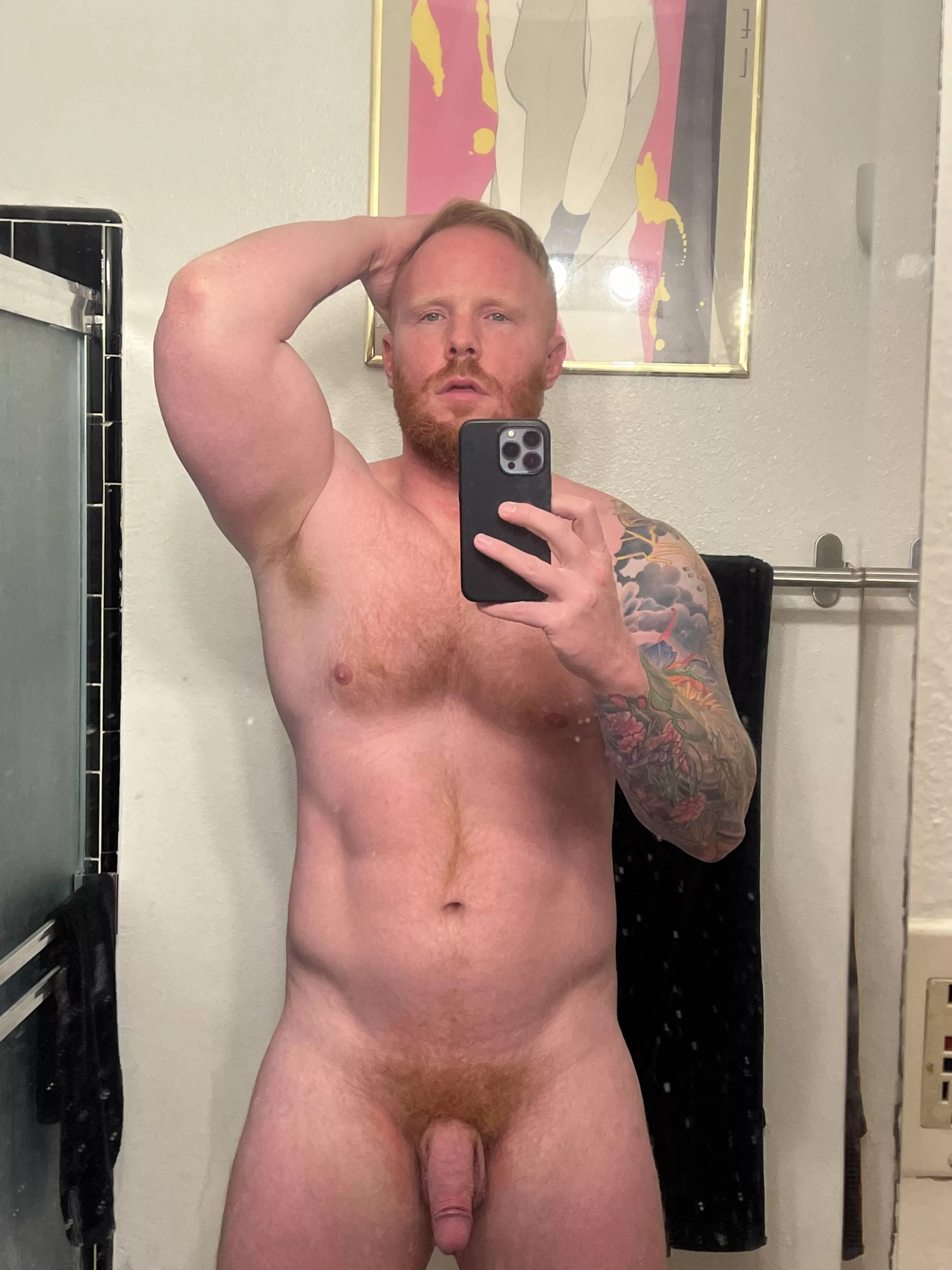 Who wants to give this ginger softie a taste? posted by absentdesis