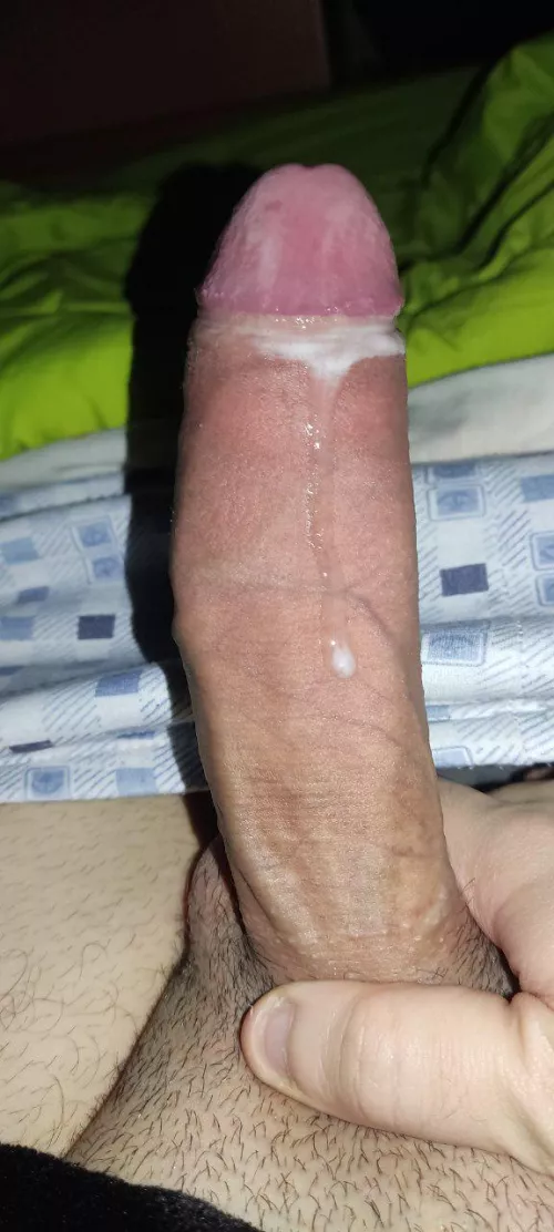 Would you lick it or ride it? by DesperateCompote5434