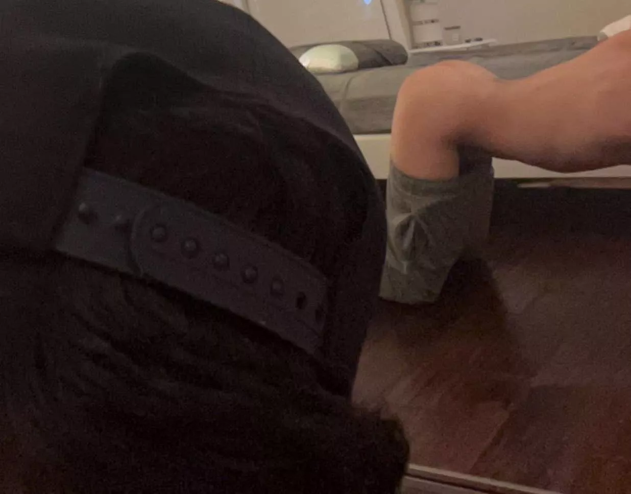 18 virgin I wanna show off when my parents go to beddd snap: Ayden_qb face++++ posted by aydensreddit777