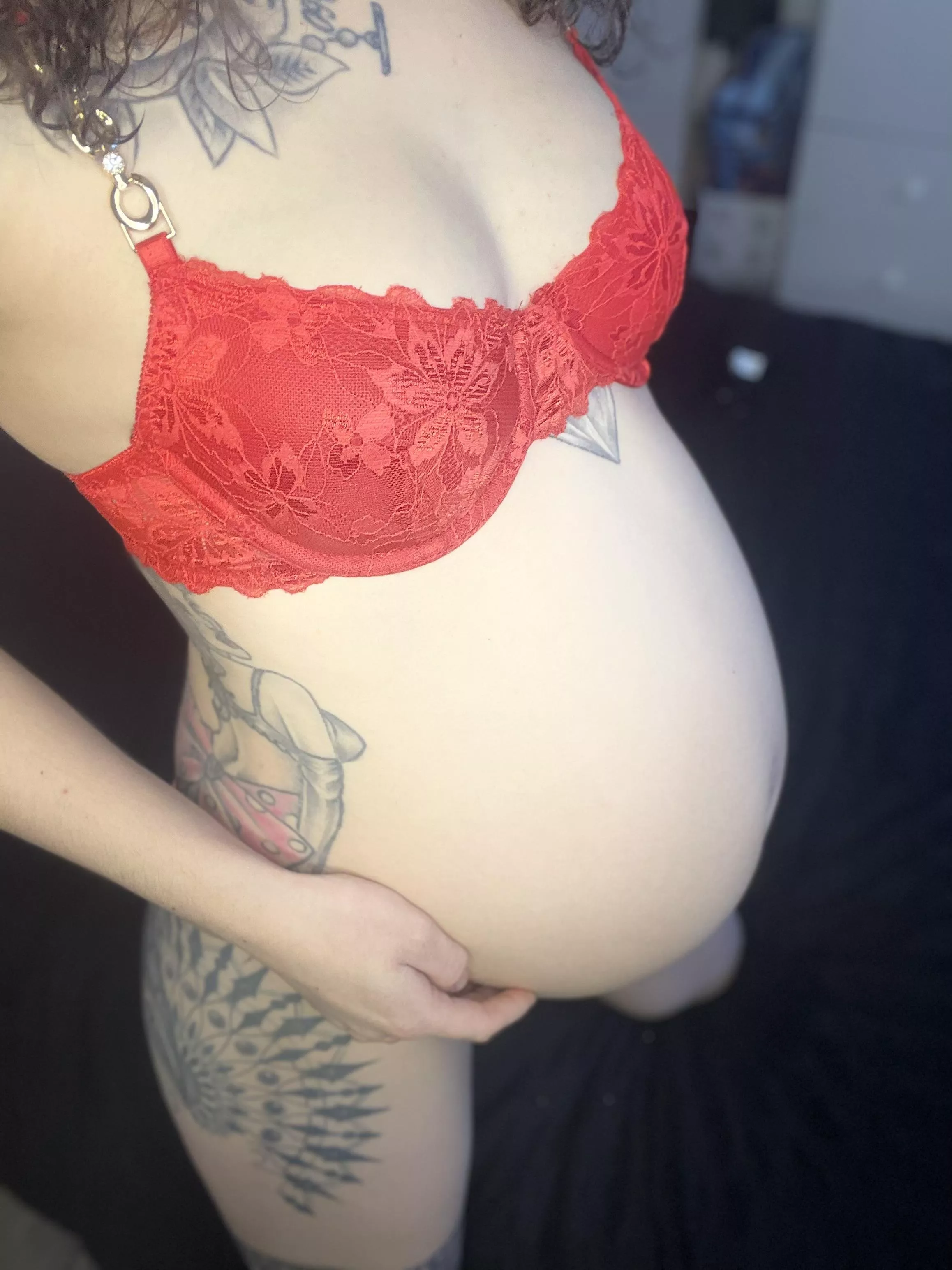 2nd pregnancy this year… I can’t stop breeding posted by jaceyleax