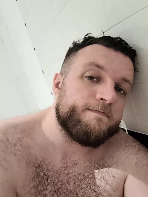 Ain't as lewd as most. But feeling ill, tired and fragile and figured I'd say hi by Thatsalotofbears