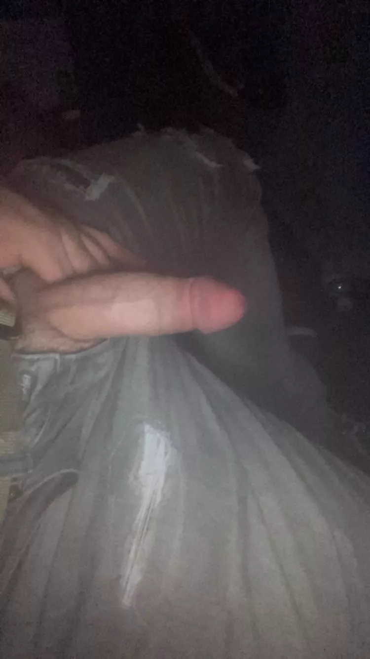 Compare? posted by rambotulip