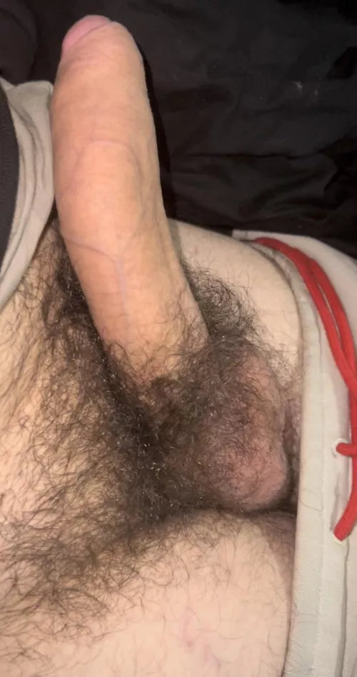 Could you handle my giant bush?😏🍆Dms open😈 by HungYoungAlpha-