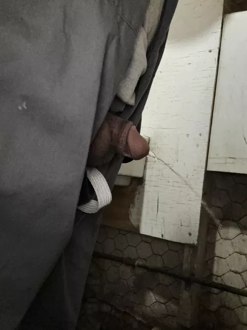 Didn't see you there 😏 by QuickComfortable2615