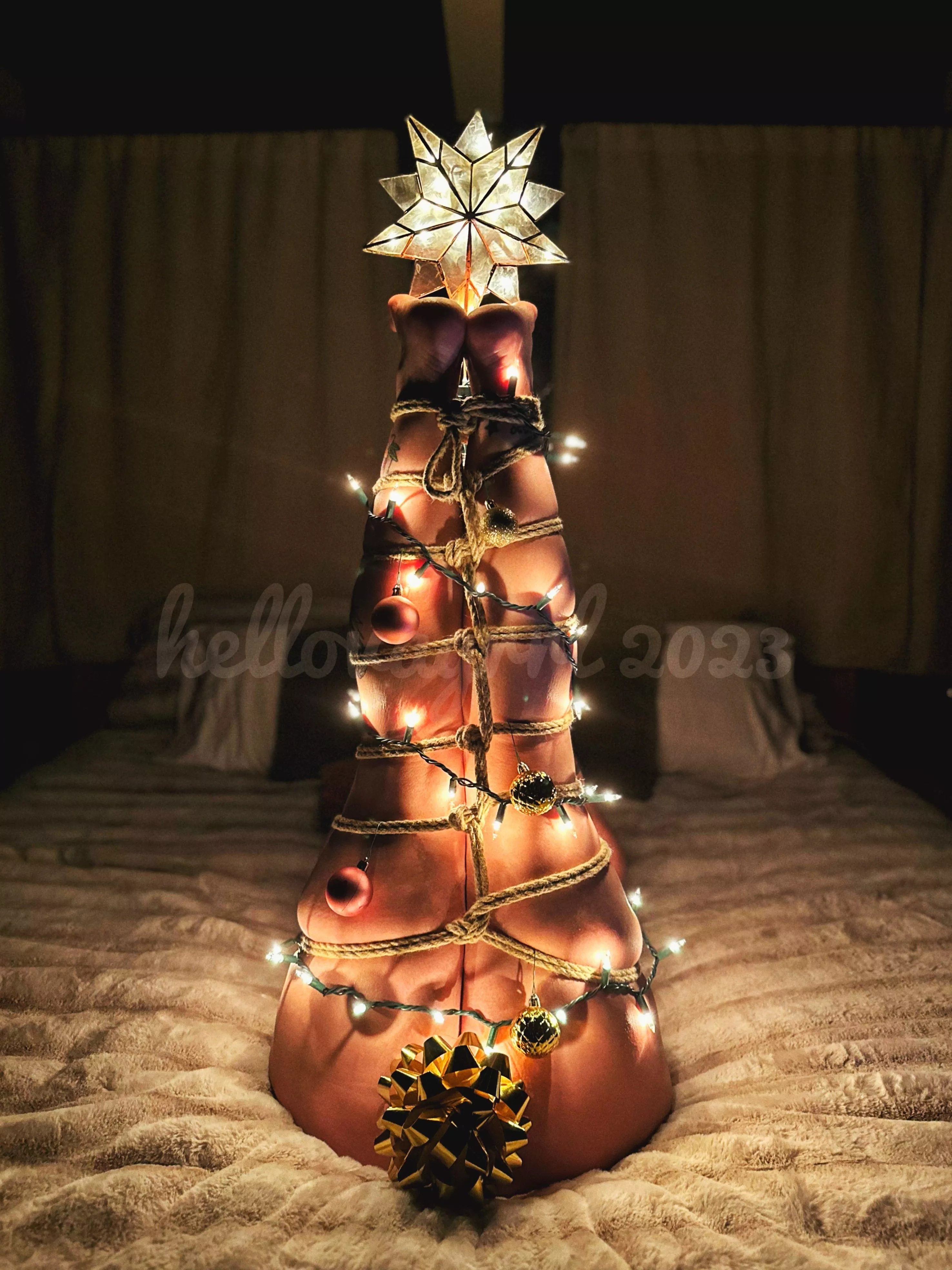 Happy Holidays! posted by hellovagirl