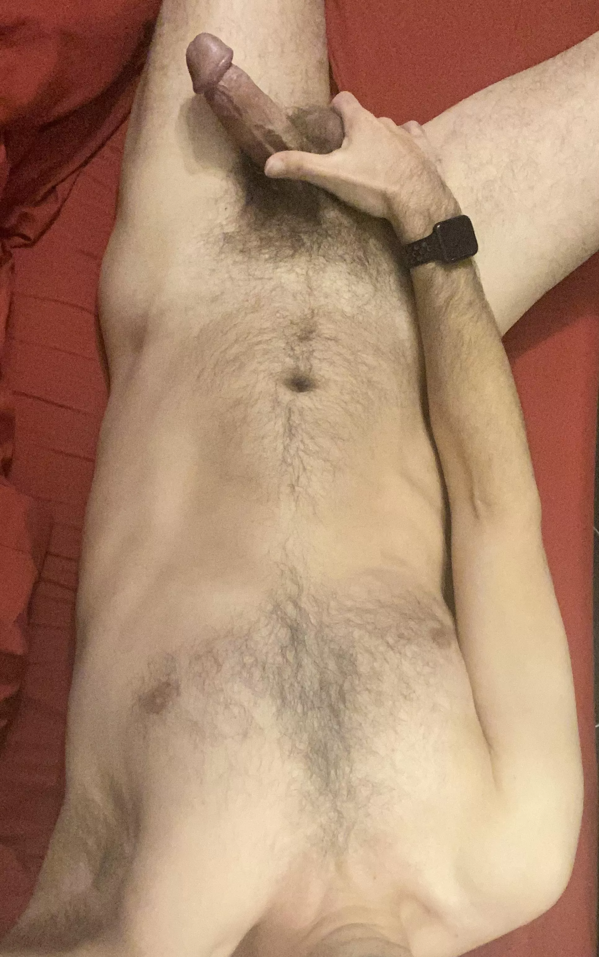 Morning fun… posted by CuriousEastCoast2