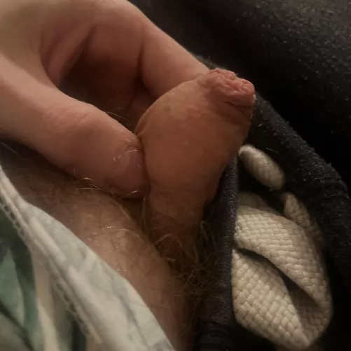 My little mushroom 🍄 by QueermintRhino