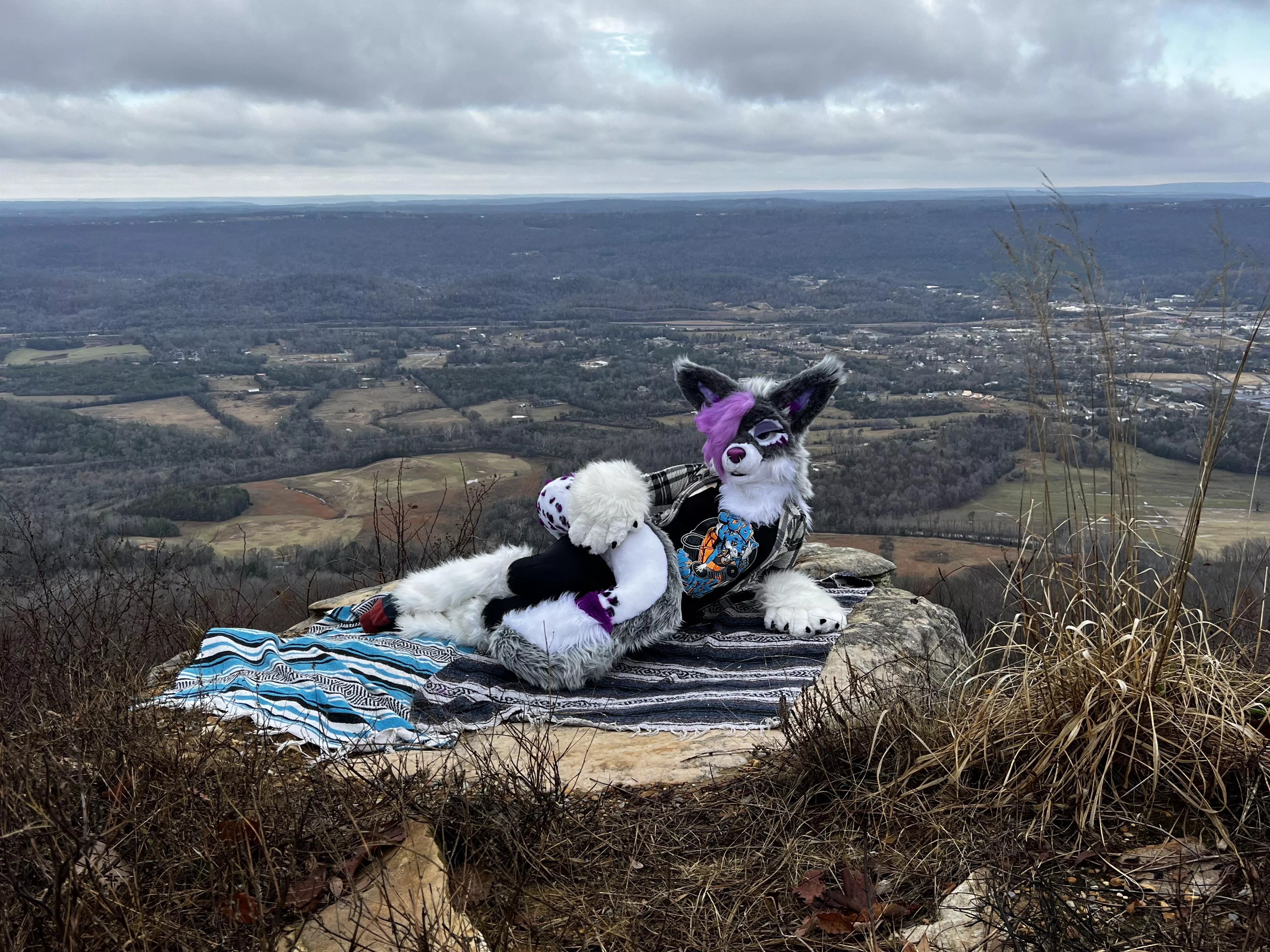 My Tail keeps me warm posted by Rayne_Rot