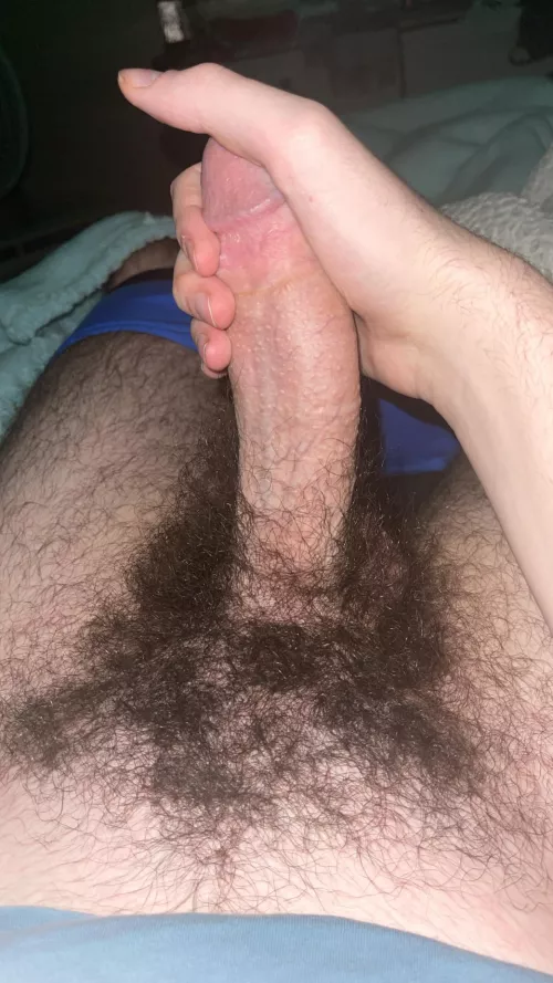 Need a hairy hole to breed by Low_Grapefruit2196