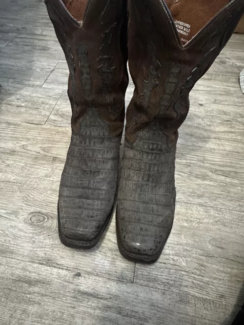 New caiman Dan post by madgodcthulhu