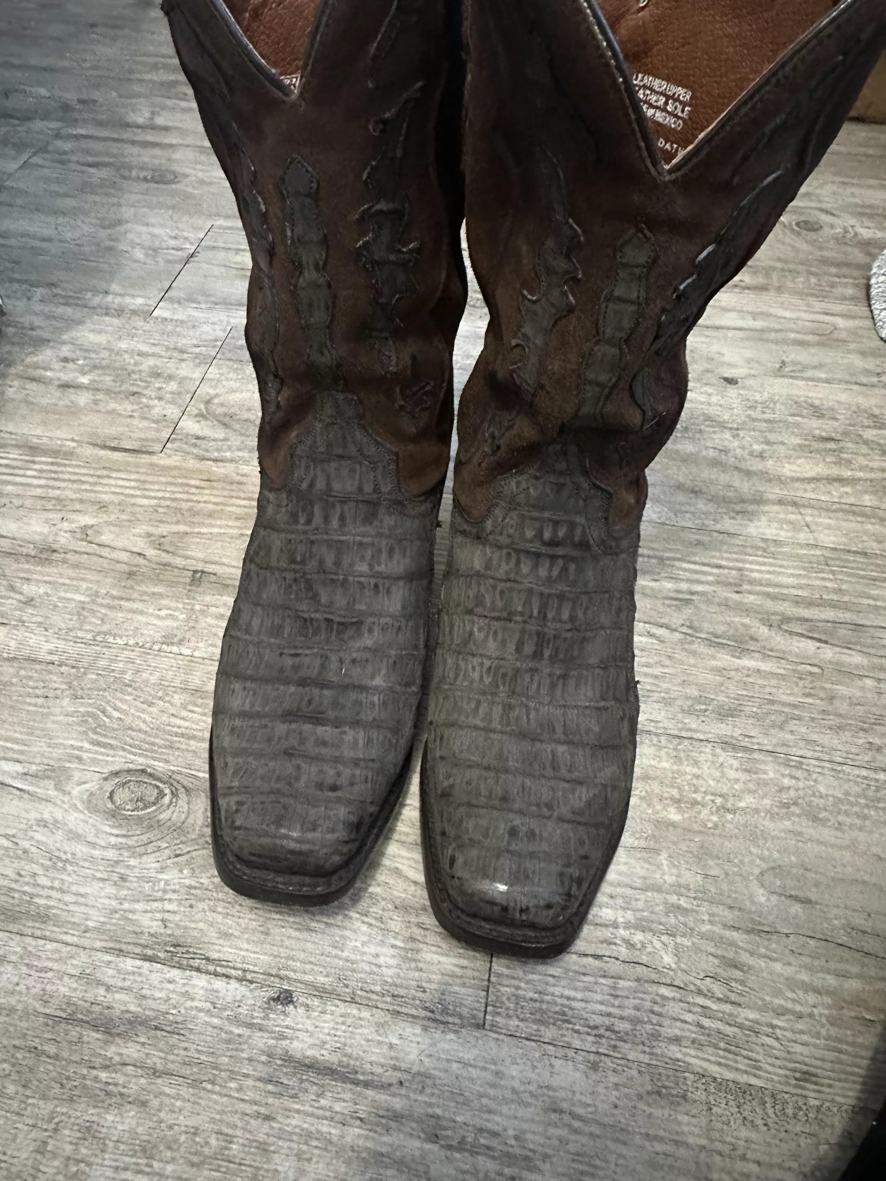 New caiman Dan post posted by madgodcthulhu