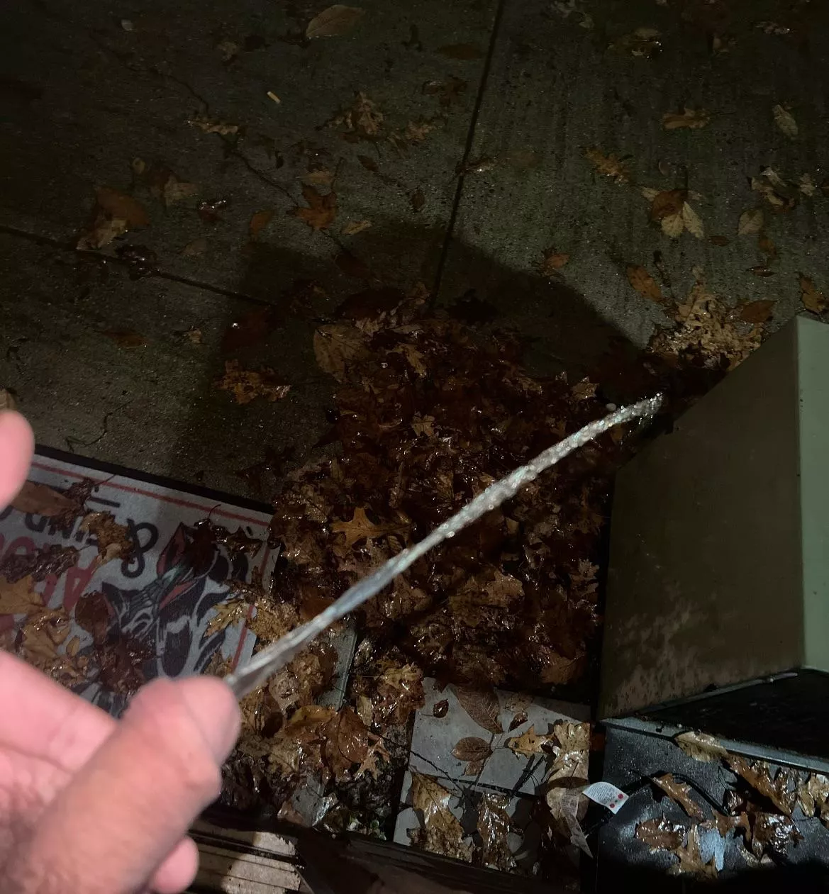 One for me, one to show off posted by [deleted]