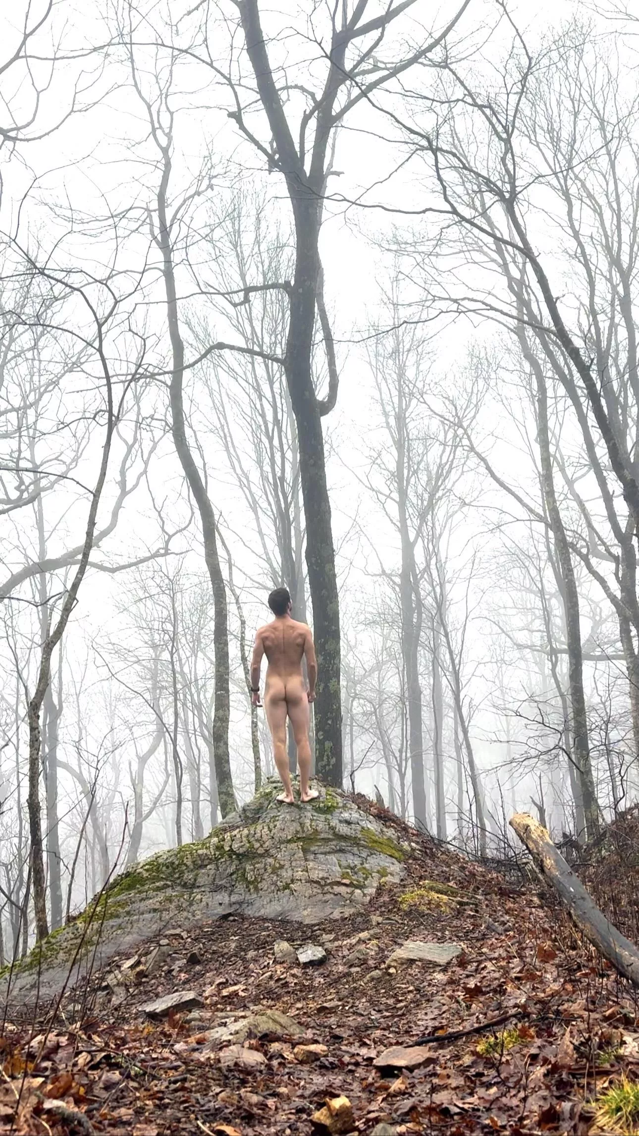 Rocky top posted by freeintheforest86