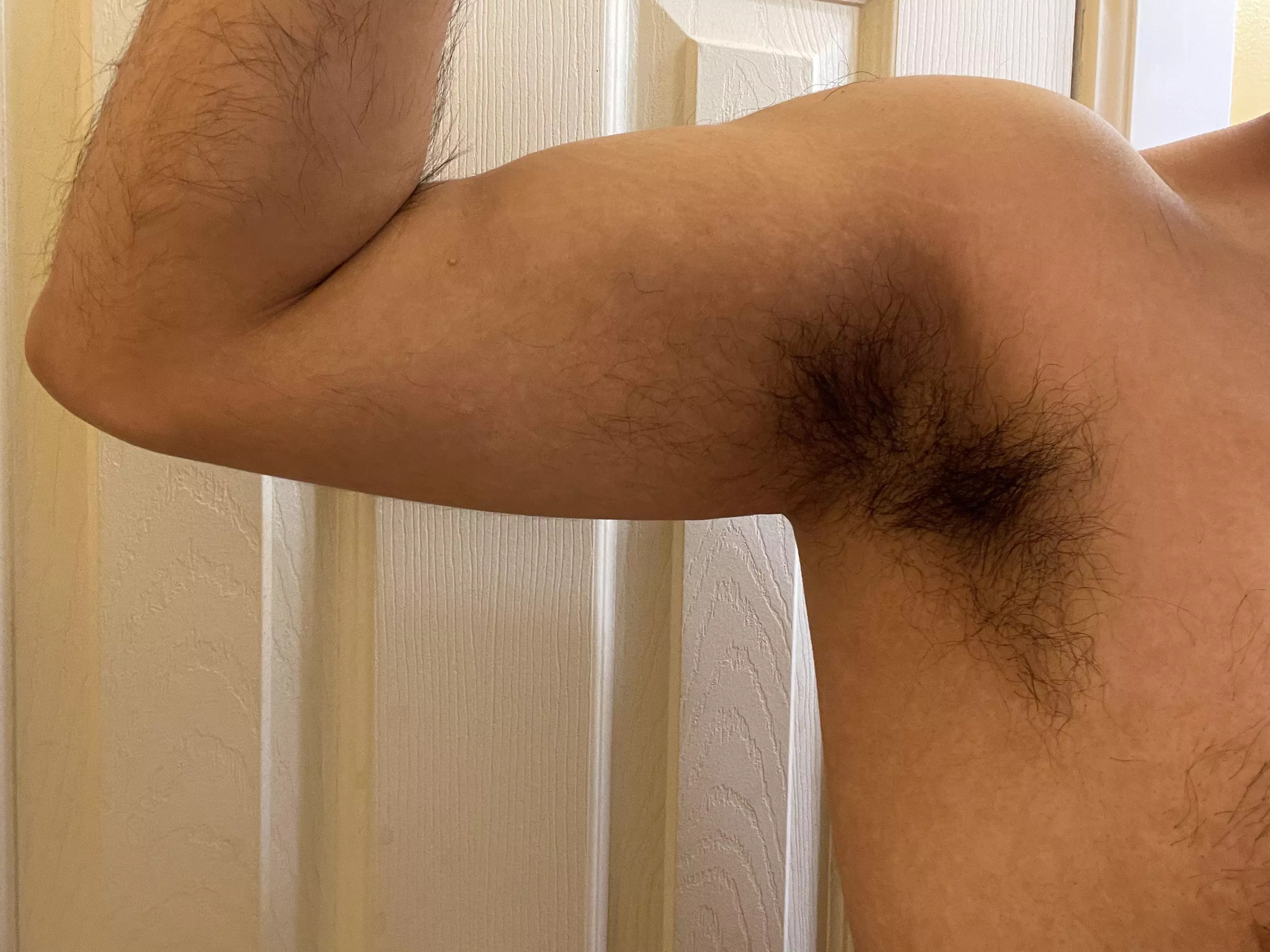 Smell my morning scent posted by minitacobite