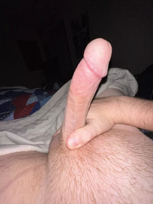 Something to keep your mind off Monday by dolphins15