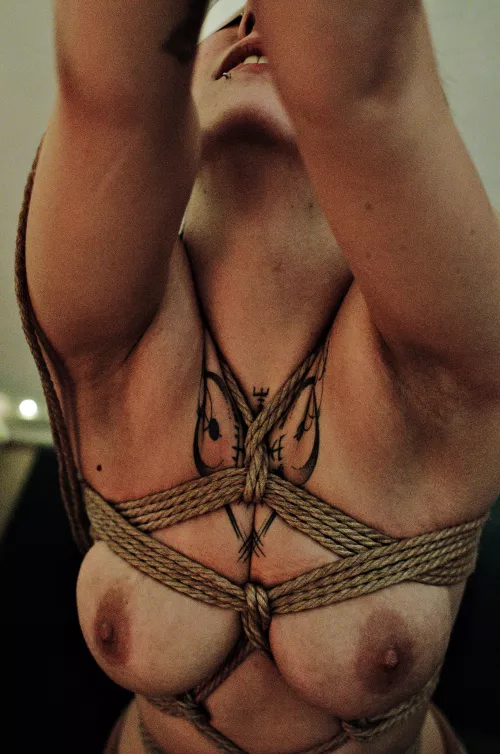 Sweet predicament... by rope_sensations