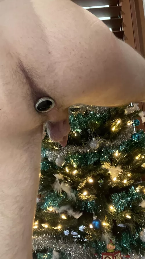 Tis the season by Serenityexhibit