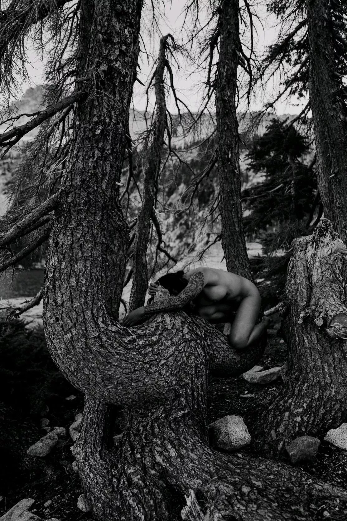 Trinity Alps posted by FamousSport4680