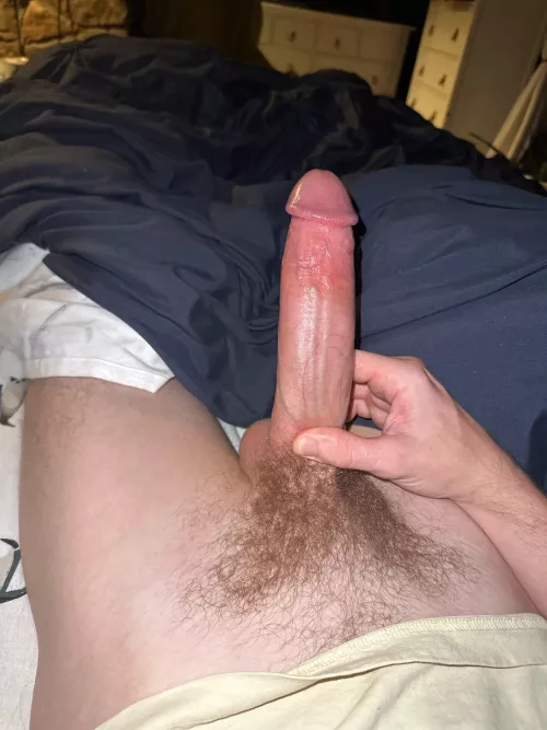 Will I slide in easy by Massive_Scene4803