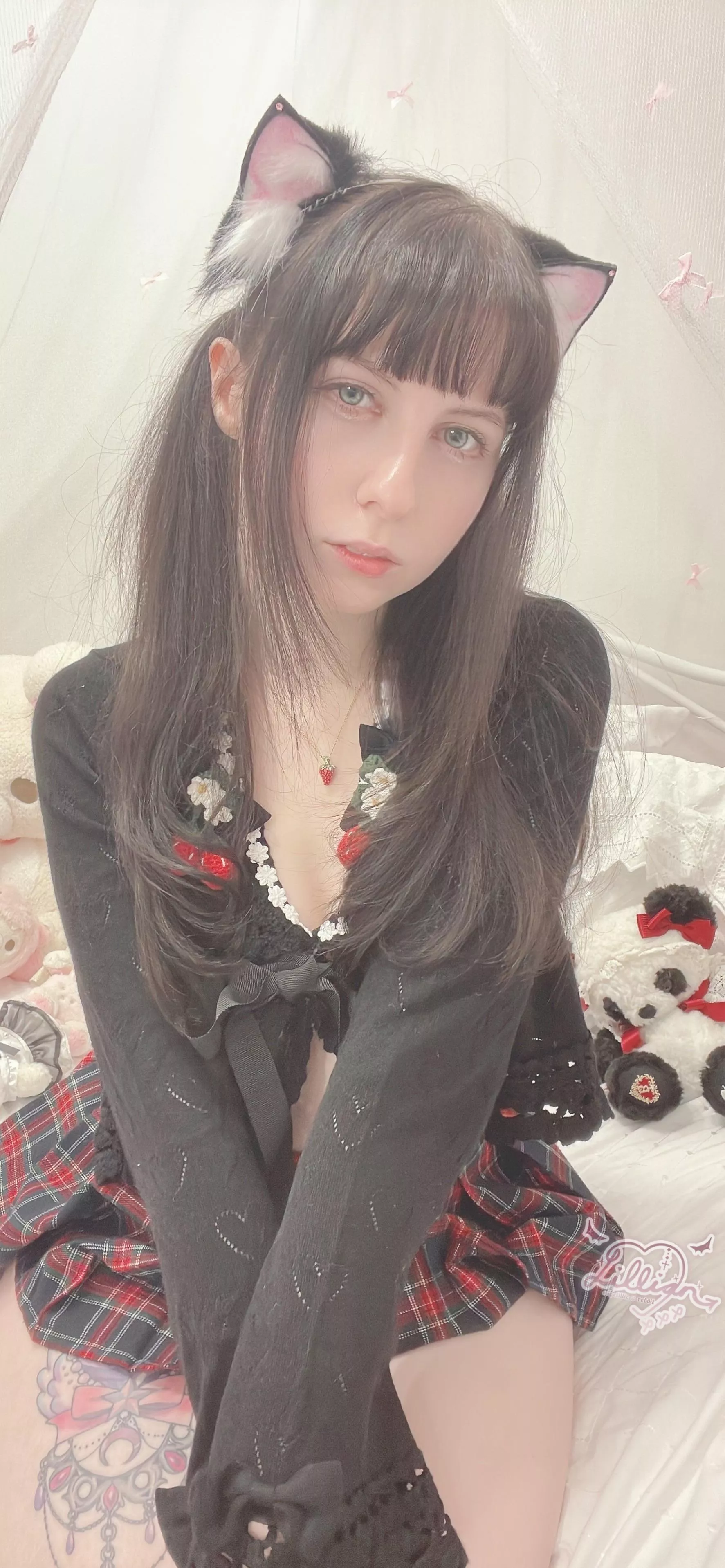 would u take care of this kitten?🥺 posted by angelillic