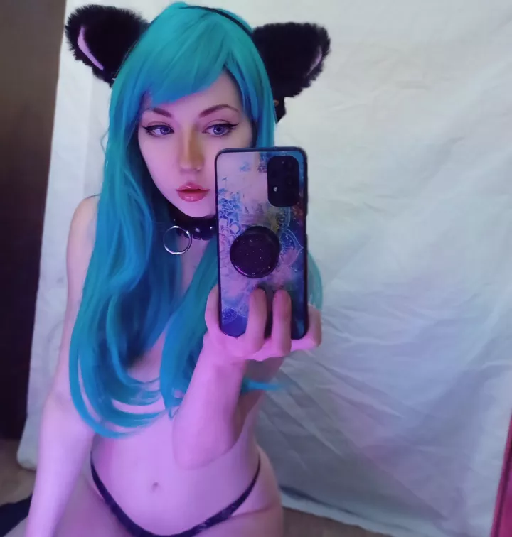 would you leash this little kitten? posted by starlitsirenx