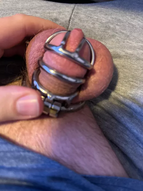 41 locked fag about to insert a plug for the first time HMU if you want to watch me put it in. by nud3boy