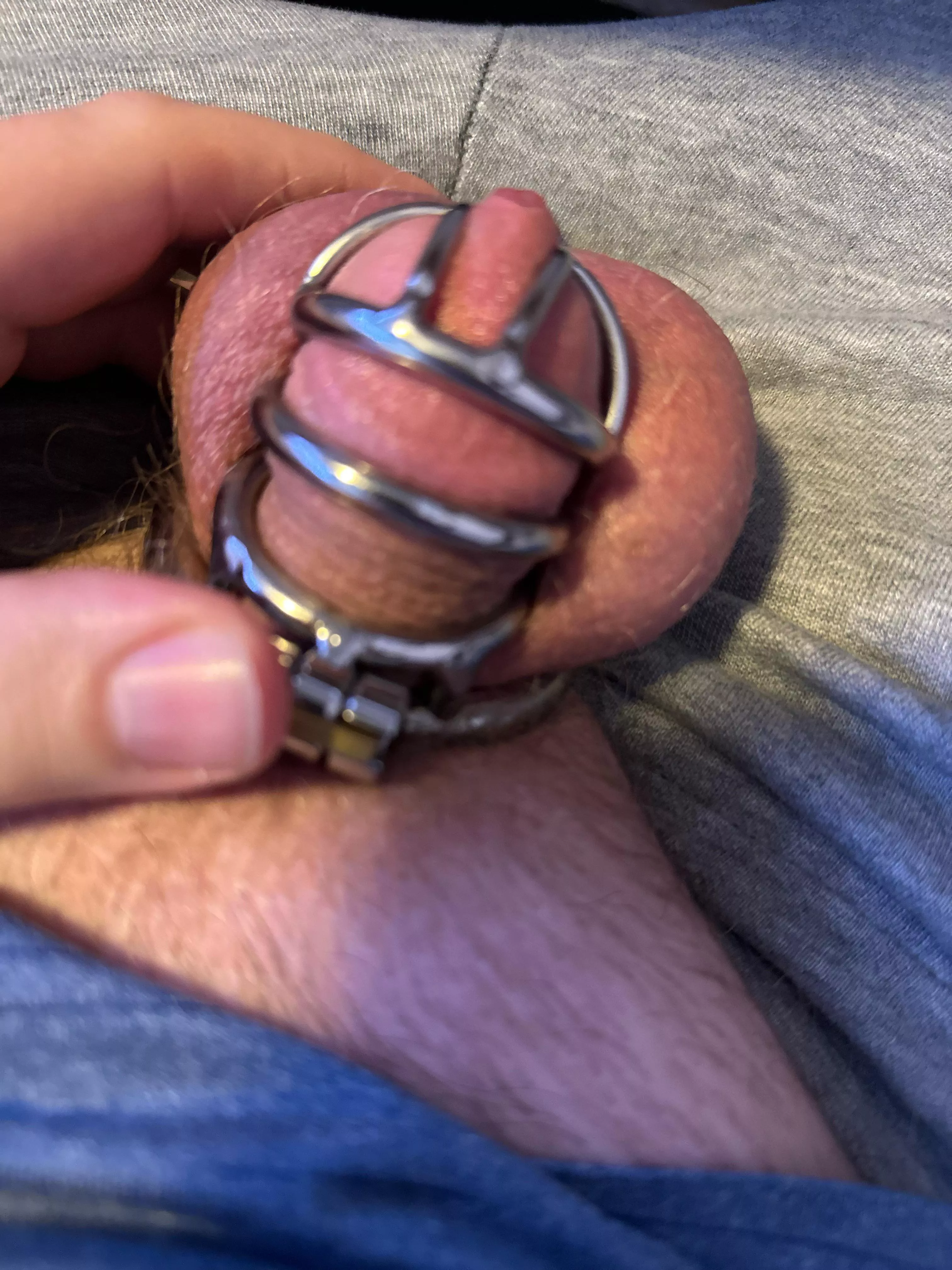 41 locked fag about to insert a plug for the first time HMU if you want to watch me put it in. posted by nud3boy