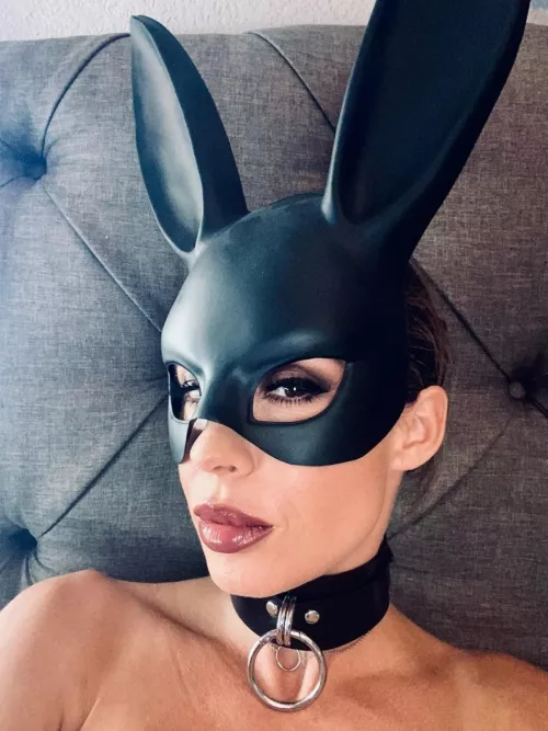 Bad Bunny by Letmebeyourbabydoll