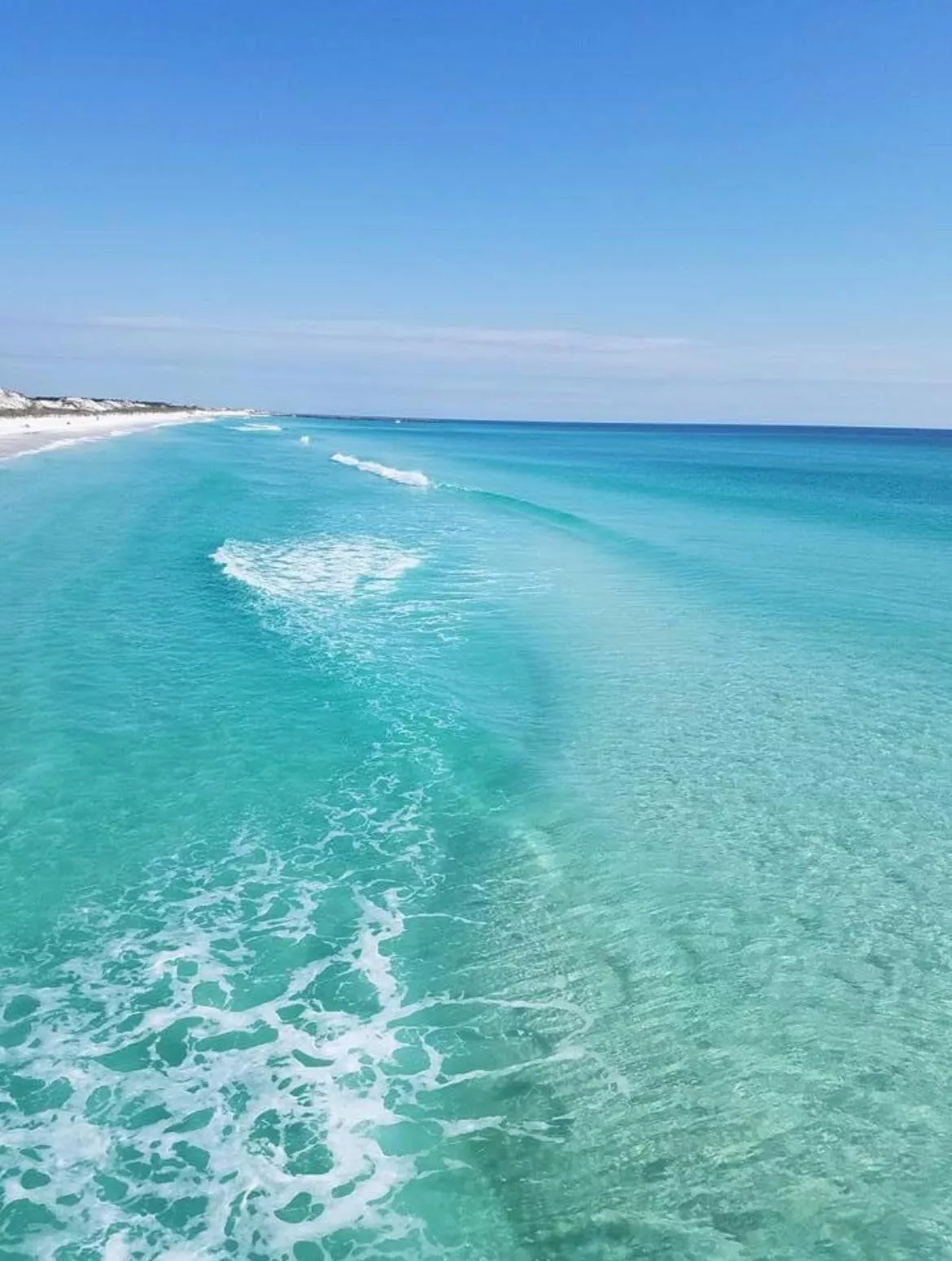 Beachin OC posted by anitajoint-420