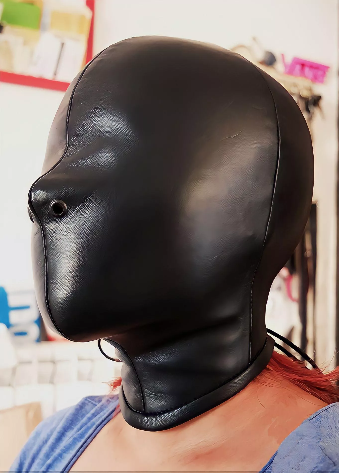 Beautiful leather hood posted by ManeTamer69