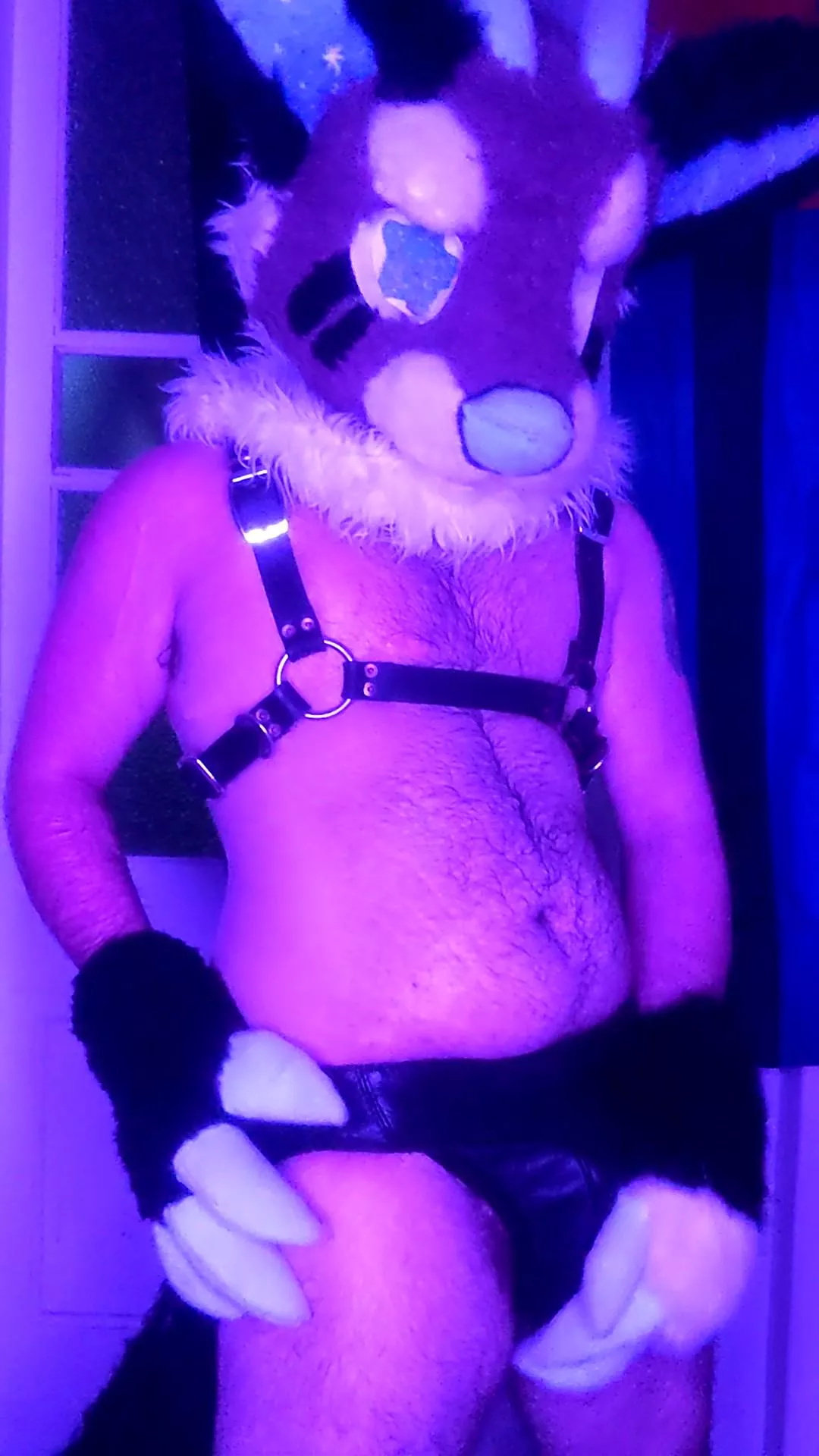 Been nursing this bulge a while now... posted by BallofPossumVibes