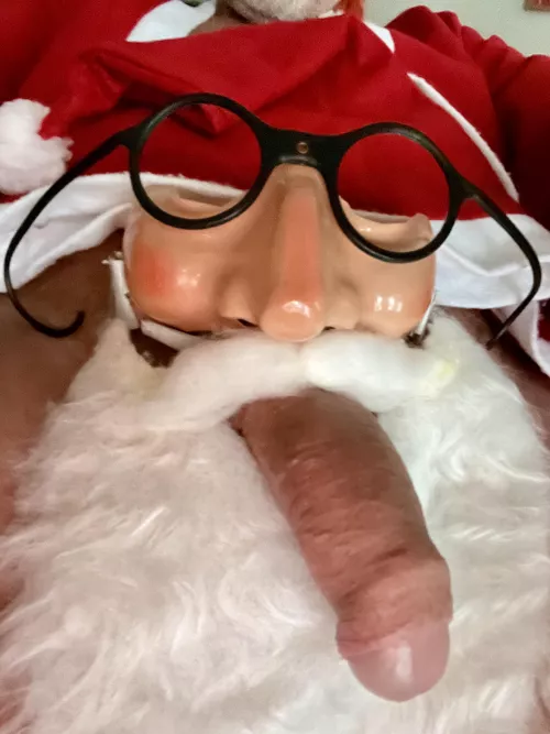 Cocky Christmas by Due_Pitch_1000