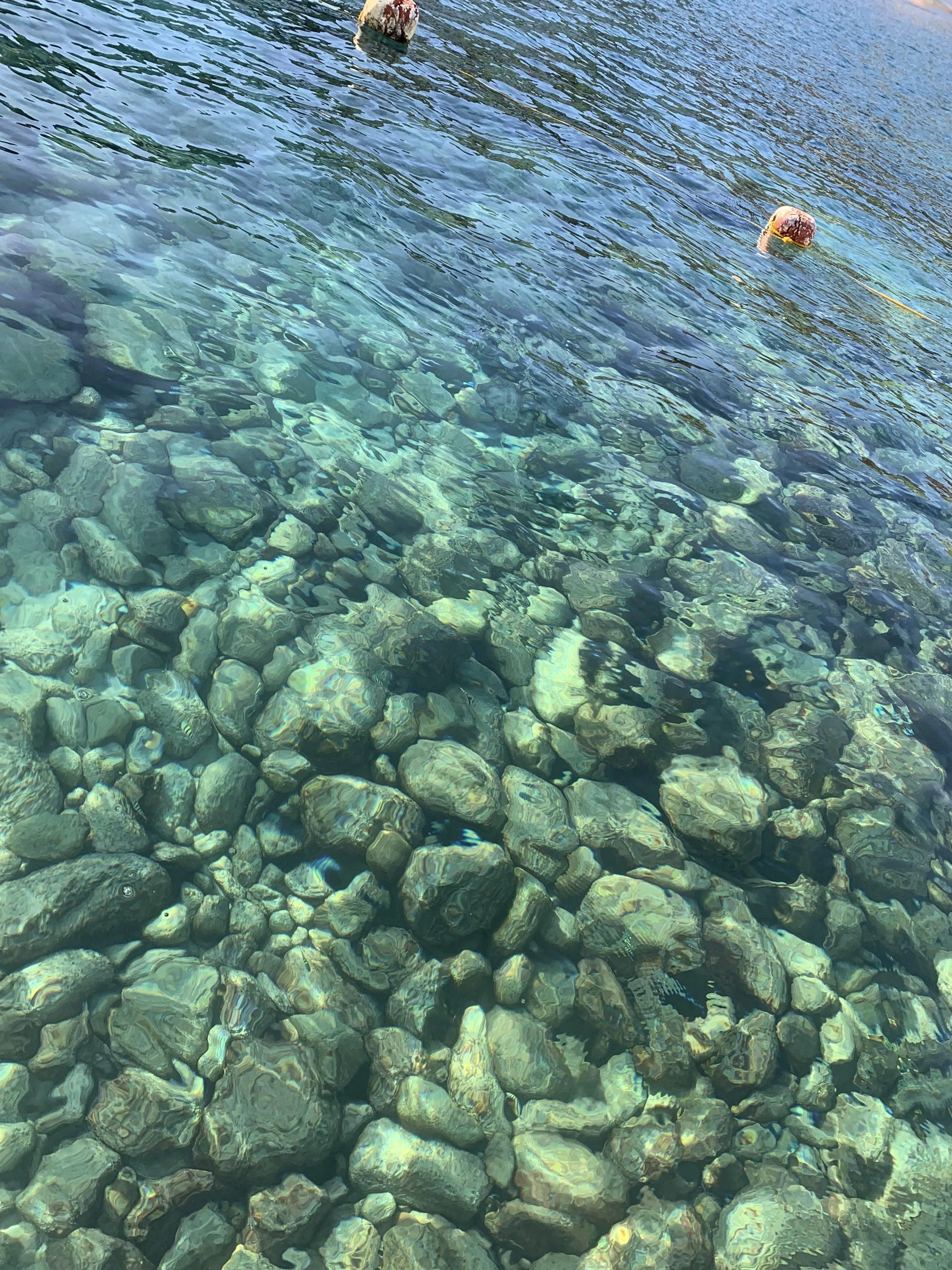 CRYSTAL CLEAR WATER OF A BEACH IN VENEZUELA posted by onlybabyruth