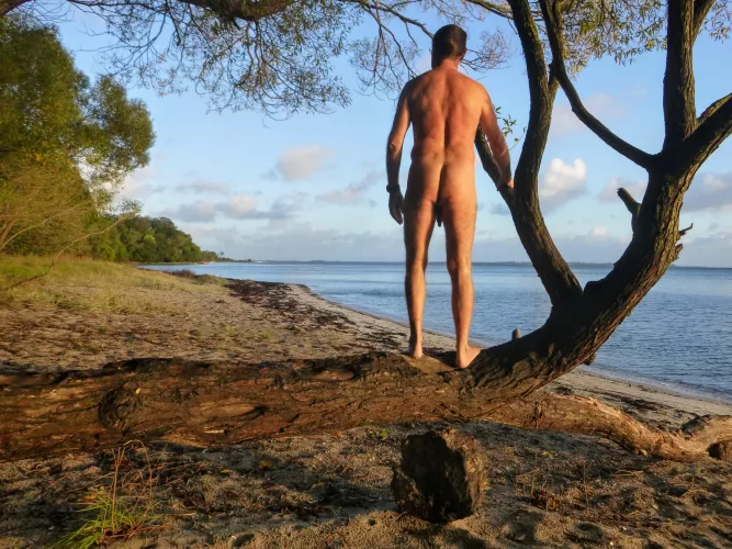 Early bird gets the beach to himself by ImaginaryMolasses894