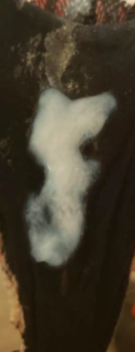 Football Sunday cumday posted by sneakfactor821