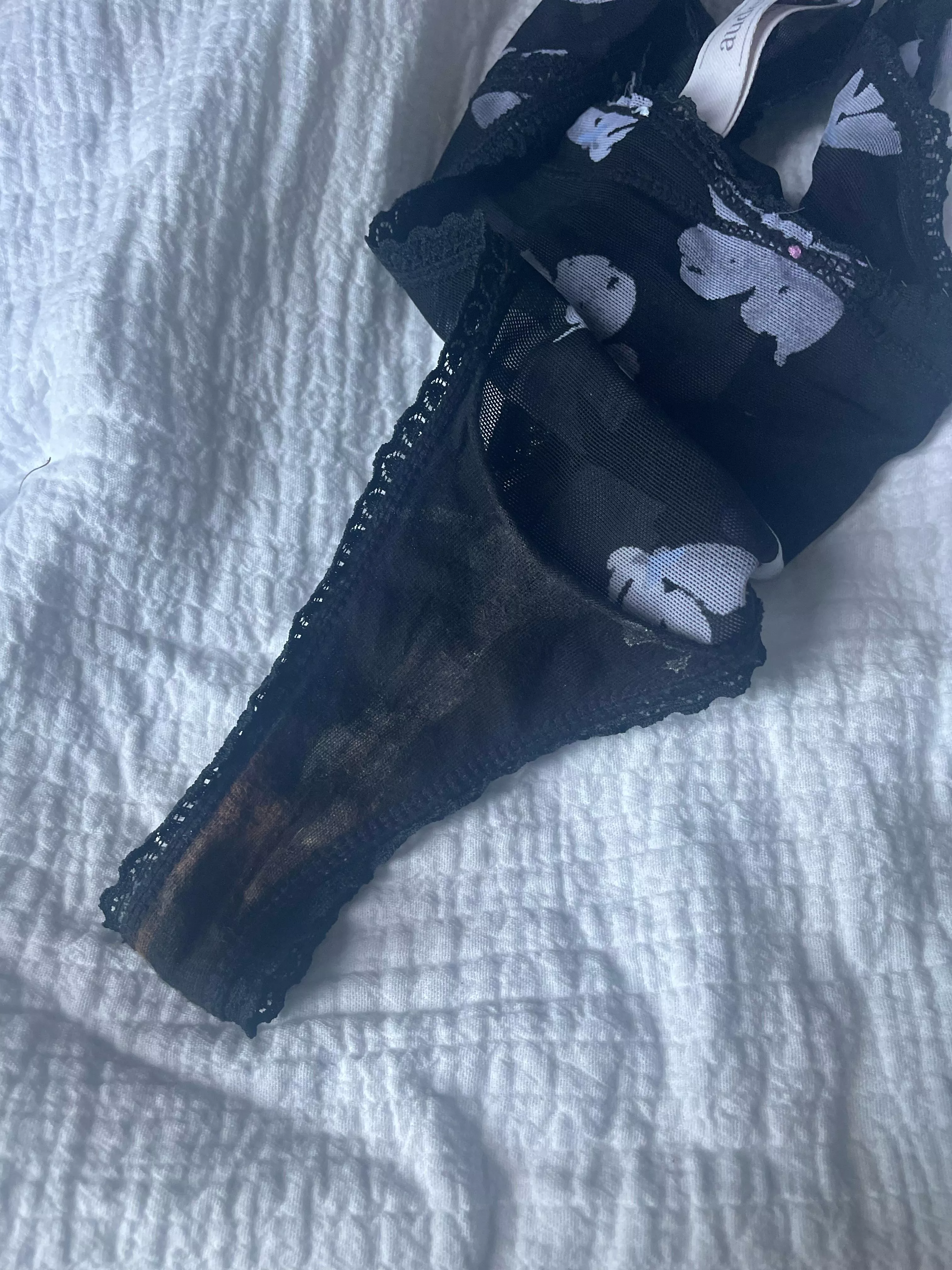 Girls night was successful.. posted by tremendouseagle