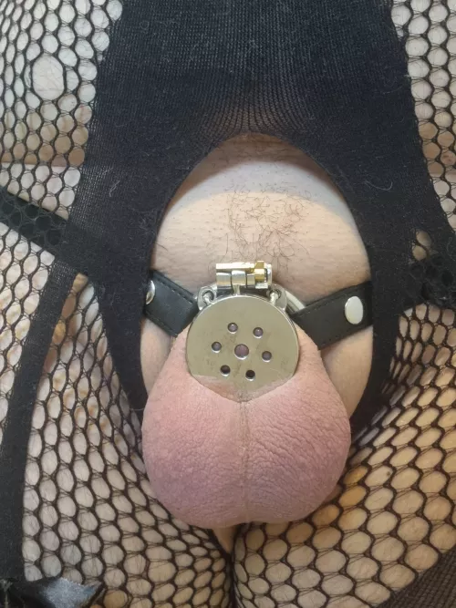 I guess i should go inverted since this feels too big for my clitty 🤭 by Longjumping-Main-335