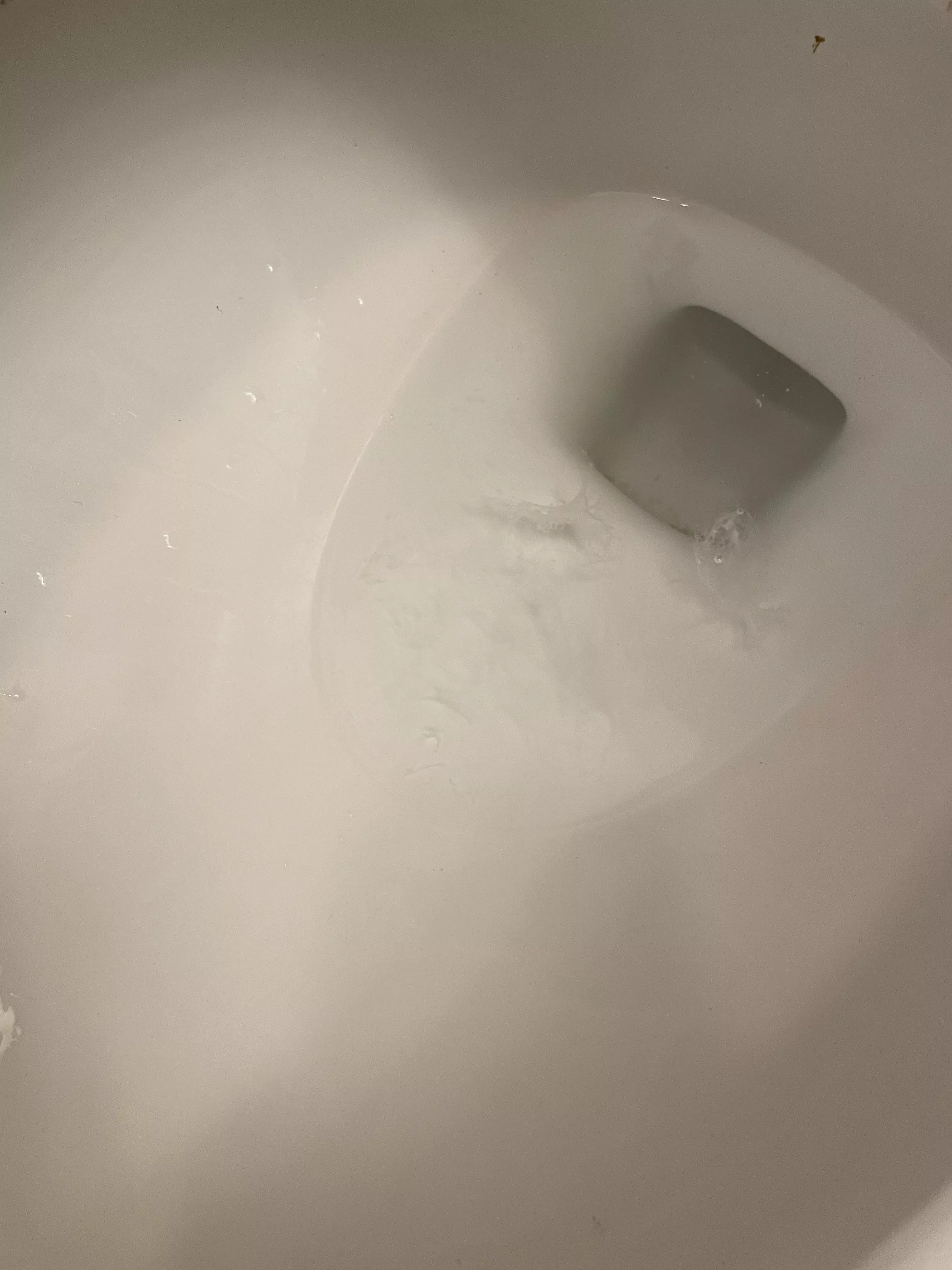 Is this cum? posted by impeccable_asteroid