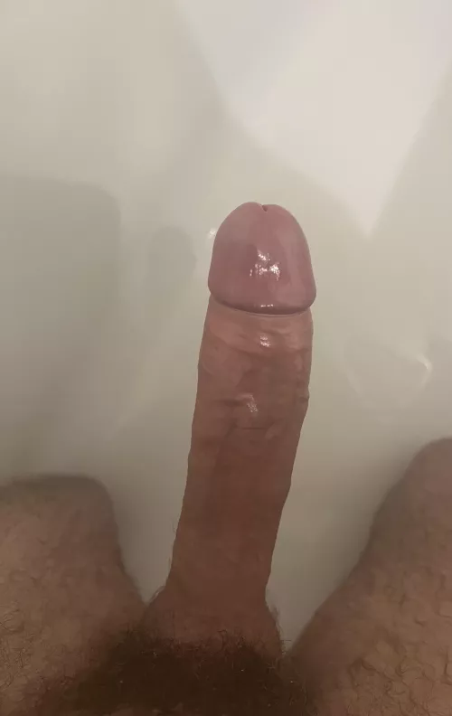 Just got out the shower, nice and wet! by XLPlay