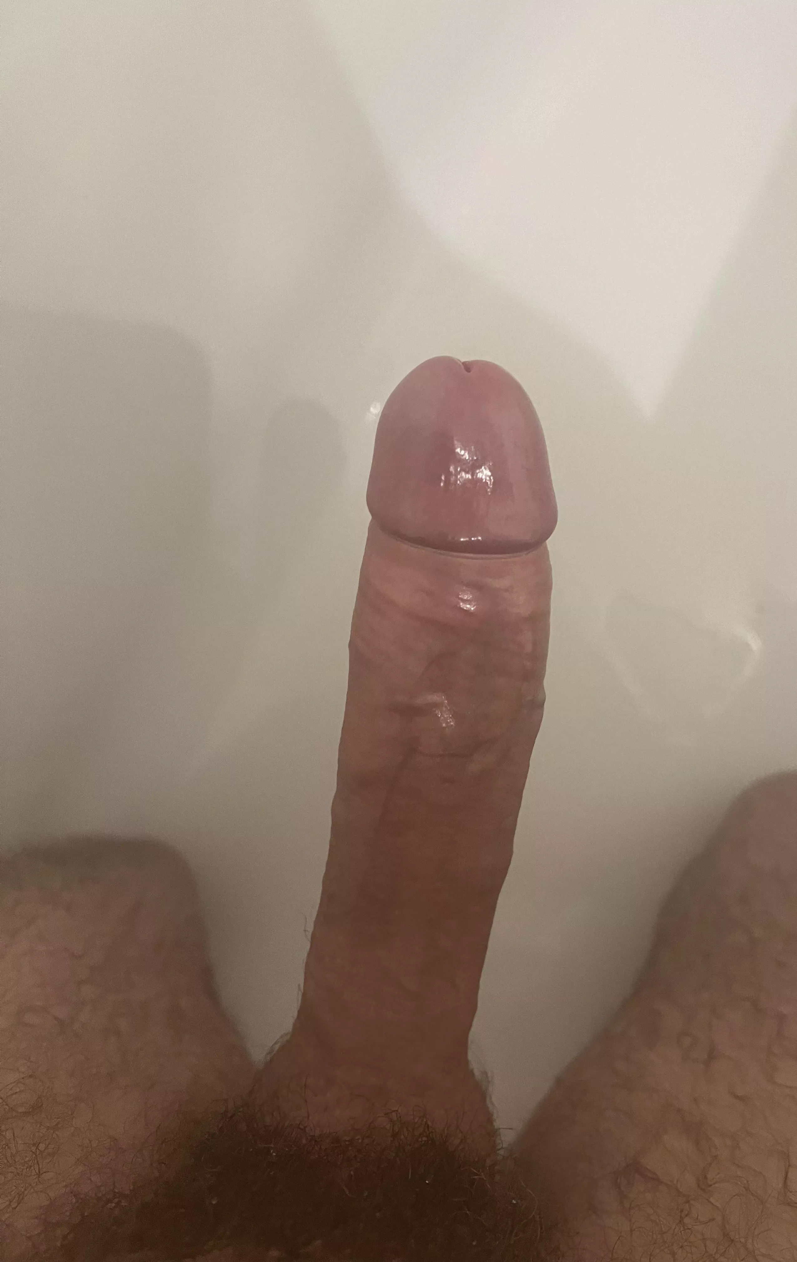 Just got out the shower, nice and wet! posted by XLPlay