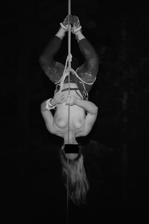 Just hanging out, spider-woman style by KinkyClimber1