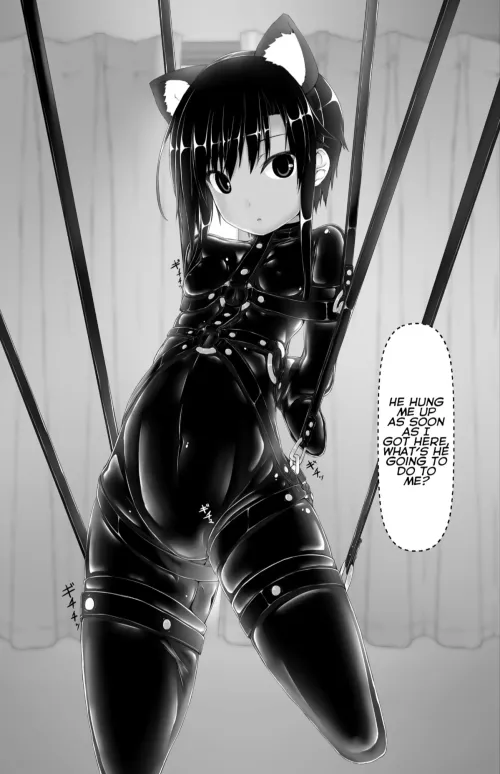 Locks Like my kitten is bound by nitpit1945