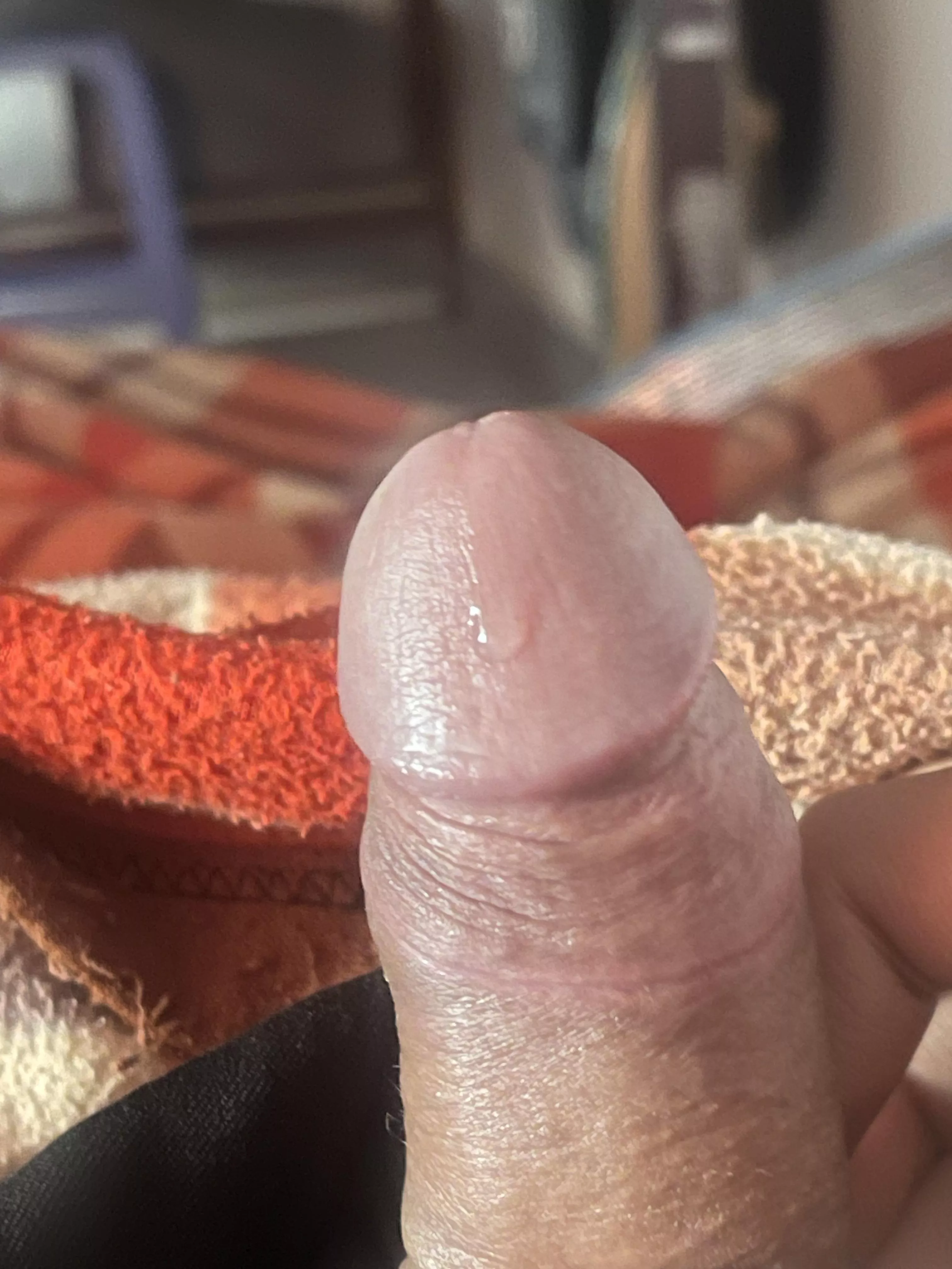My cock was aroused, then I got busy and opened it and it was soft posted by Uncutglansring