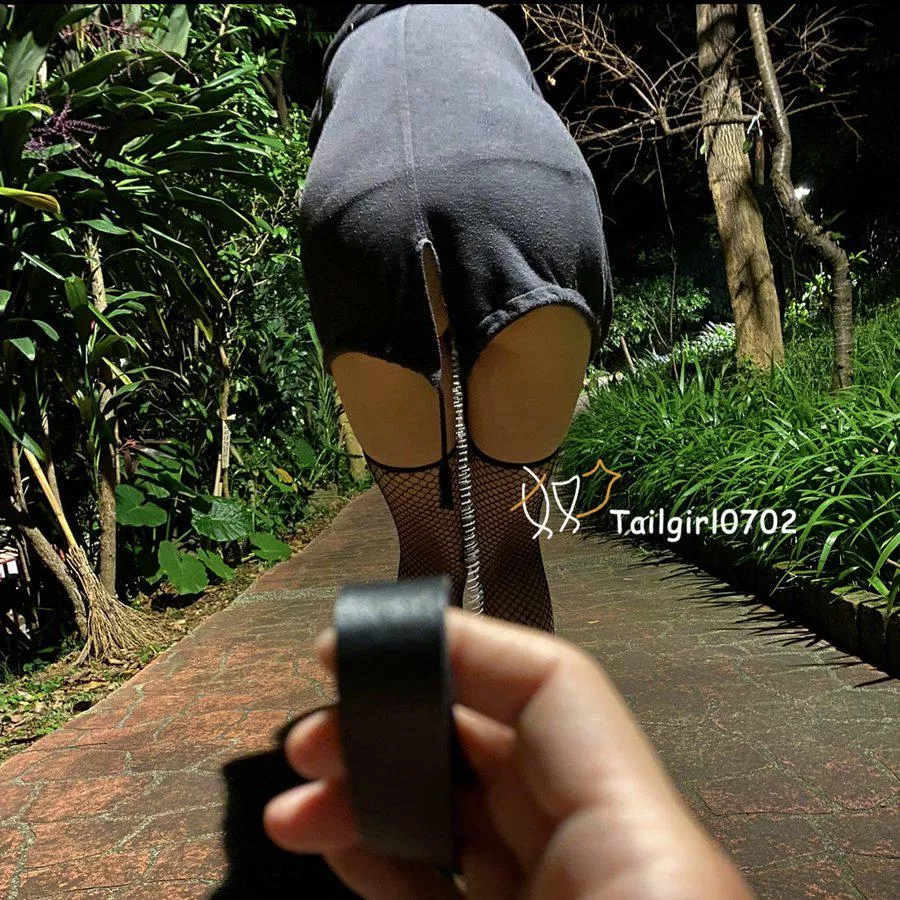 Pussy walking posted by ApartSession1453